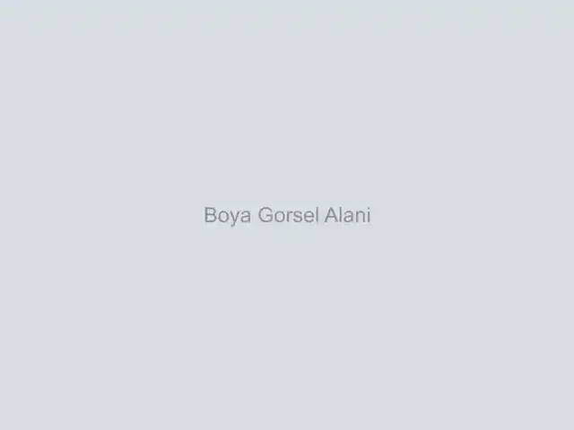 daire-boyama görseli
